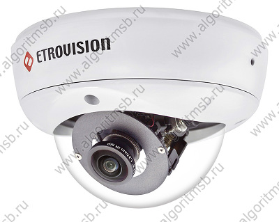 Купольная уличная IP-видеокамера Etrovision N50F-F (5 Mп) с панорамным обзором