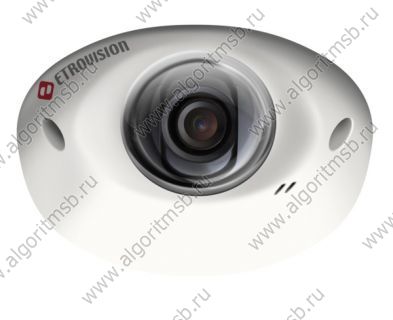 Купольная антивандальная IP-видеокамера Etrovision EV8582A-BD (1.3 Мп)