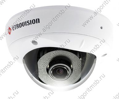 Купольная уличная IP-видеокамера Etrovision EV8589A-BD (1.3 Mп)
