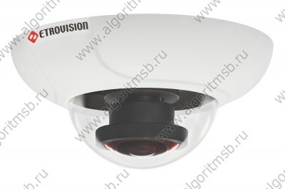 Купольная антивандальная IP-видеокамера Etrovision N53U-FL (2 Mп) с панорамным обзором