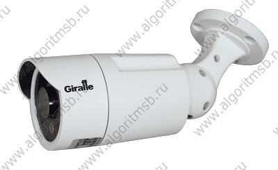 Герметичная IP-видеокамера Giraffe GF-IPIR4353MP2.0 v2 (2 Мп) с ИК-подсветкой