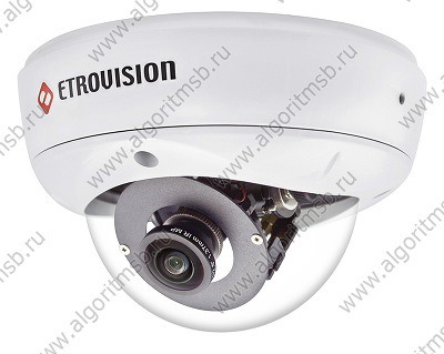 Купольная антивандальная IP-видеокамера Etrovision N51U-FL (2 Mп) с панорамным обзором