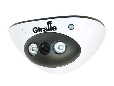 Купольная IP-видеокамера GF-IPDIR4354MPA2.0 (2 Мп) с ИК-подсветкой