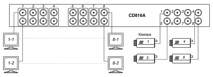 Схема подключения видеоусилителя-разветвителя SC&T CD816A